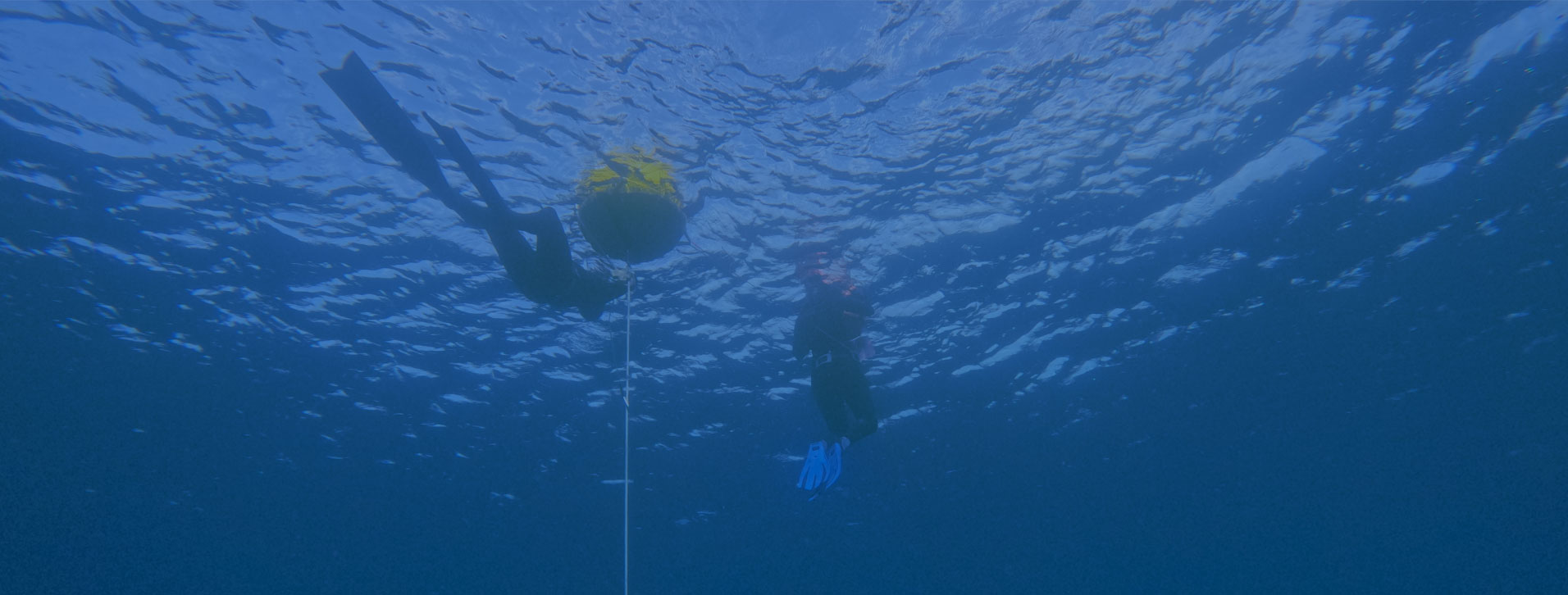 Apnea Lanzarote
